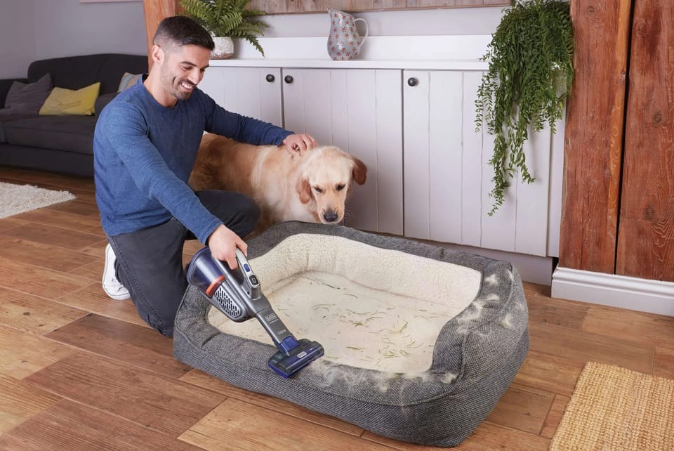 Amazon Büyük İlkbahar Satışı'nda Ev Temizliği İçin En İyi Teknoloji Ürünleri