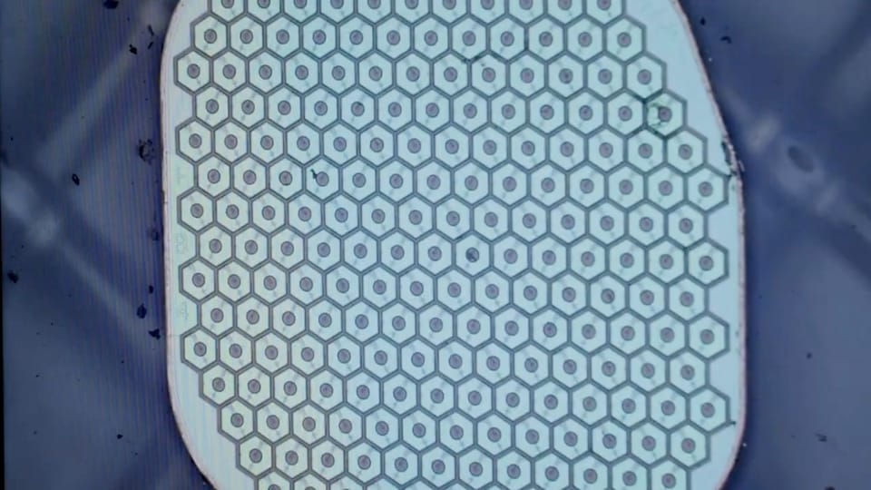 Science Corp., İlk Beyin Sensörünü İnsan Beynine Yerleştirmeye Hazırlanıyor